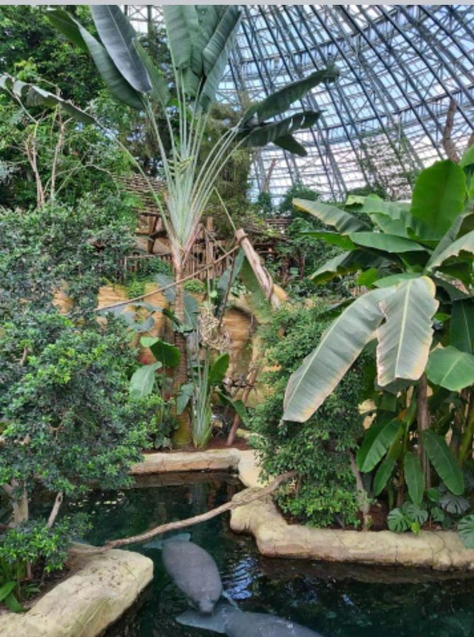 Le Gite Le Camelia Saint-Aignan  Bagian luar foto